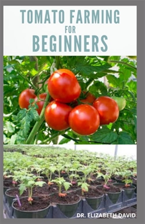 Tomato Farming for Beginners: Beginners Guide To Growing Tomatoes: Easy ...