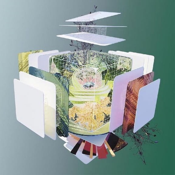 Tomato Flower - Gold Arc / Construction - Music & Performance - CD