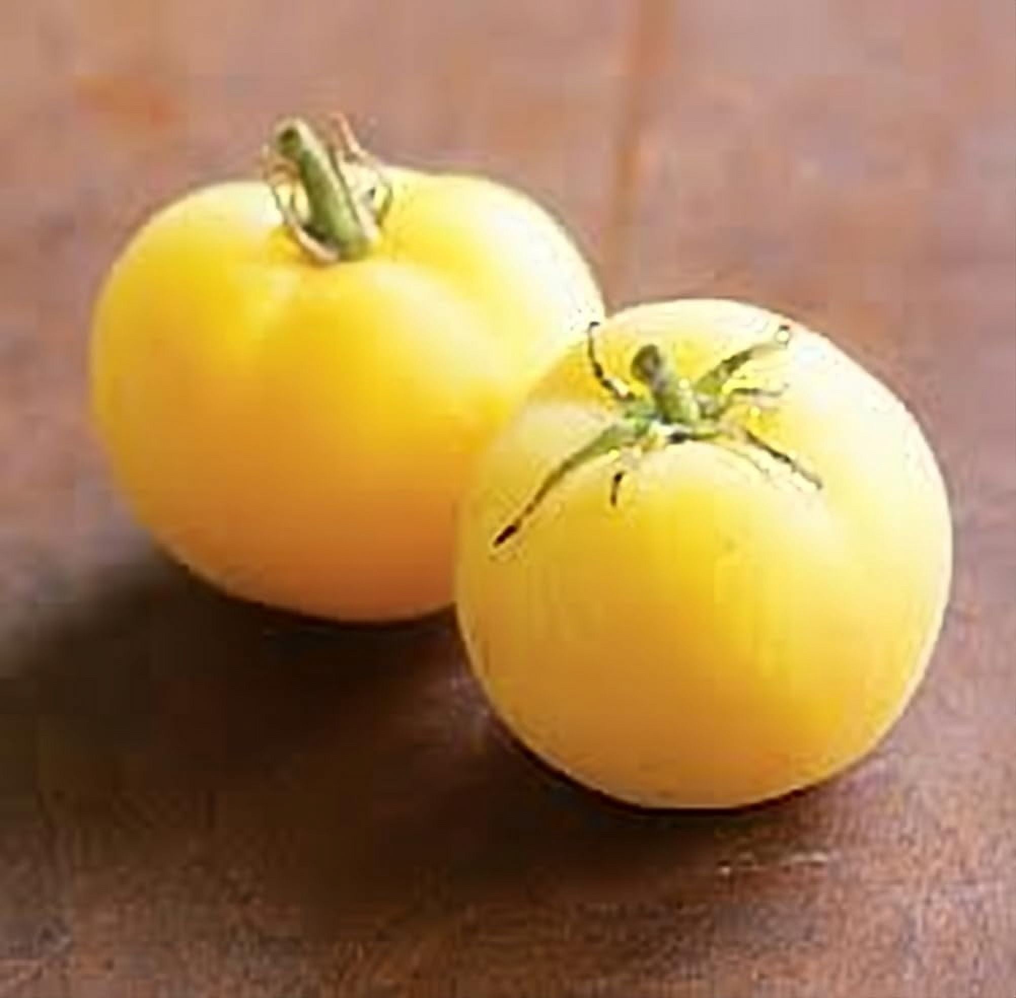 Tomato Garden Peach Great Heirloom Garden Vegetable by Seed Kingdom 1/4 Lb Seeds