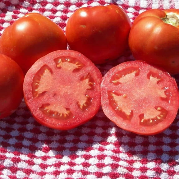 Tomato Garden Seeds - Beefsteak (Ponderosa Red) - 1 Oz - Non-GMO, Vegetable Gardening Seed - Mountain Valley Seeds