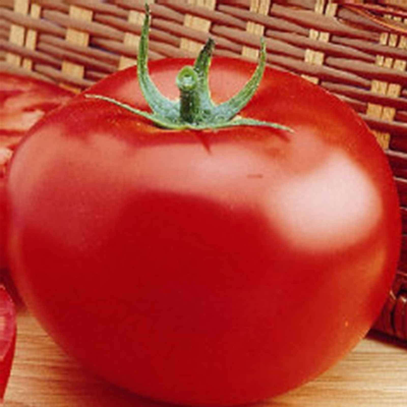 Tomato Garden Seeds - Delicious - 4 Oz - Non-GMO, Heirloom, Vegetable Gardening Seed