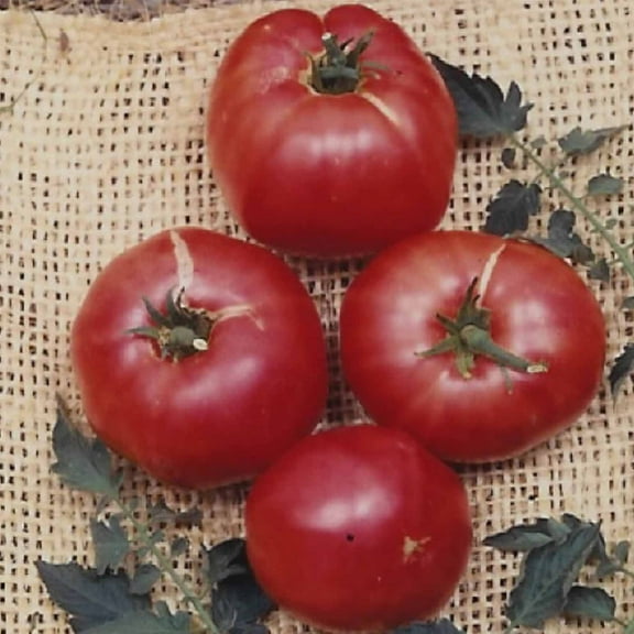 Tomato Garden Seeds - German Johnson - 0.25 Oz - Non-GMO, Heirloom, Vegetable Gardening Seed