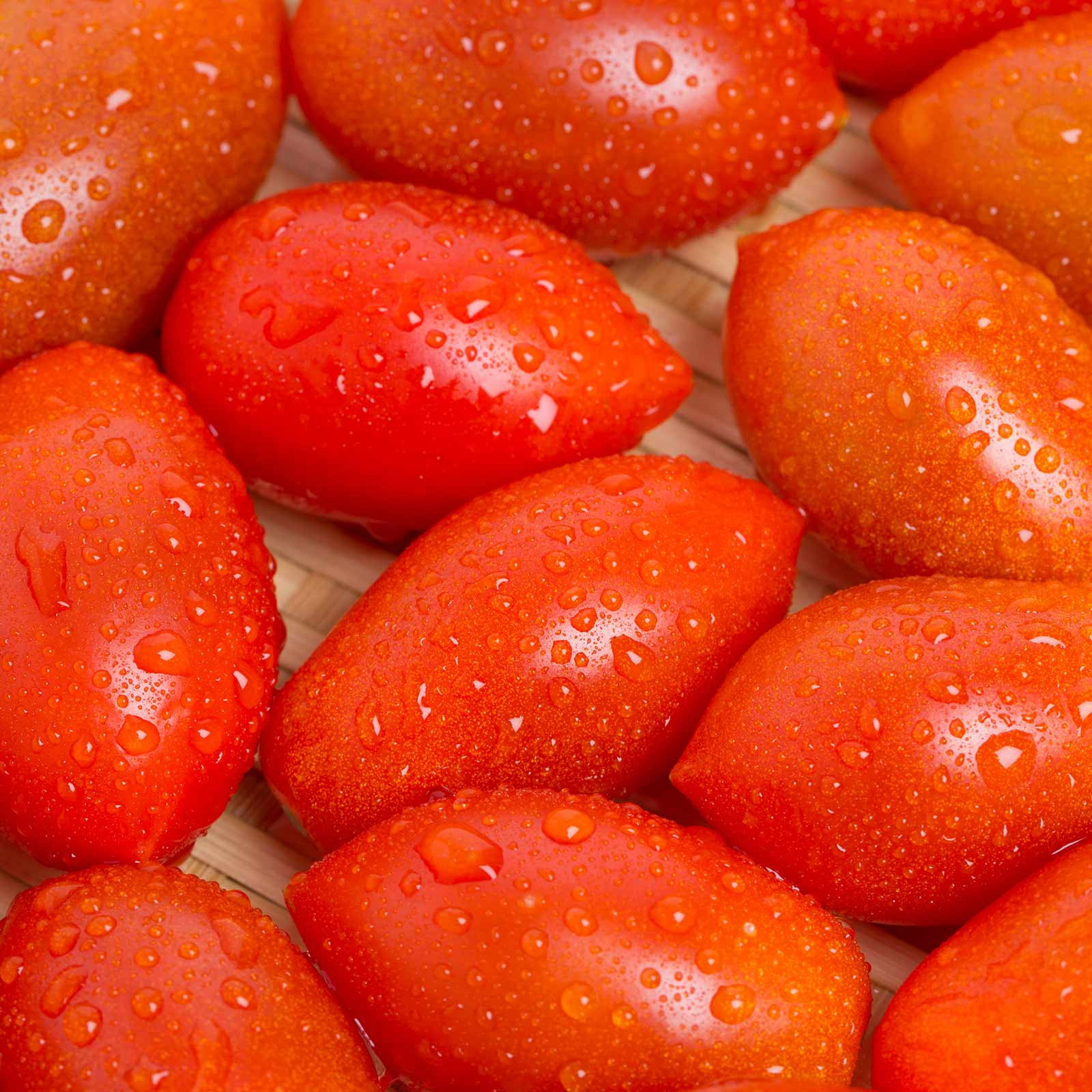 Tomato Garden Seeds - Sugary Hybrid - 100 Seeds - Non-GMO, Vegetable Gardening Seed - AAS Award Winner