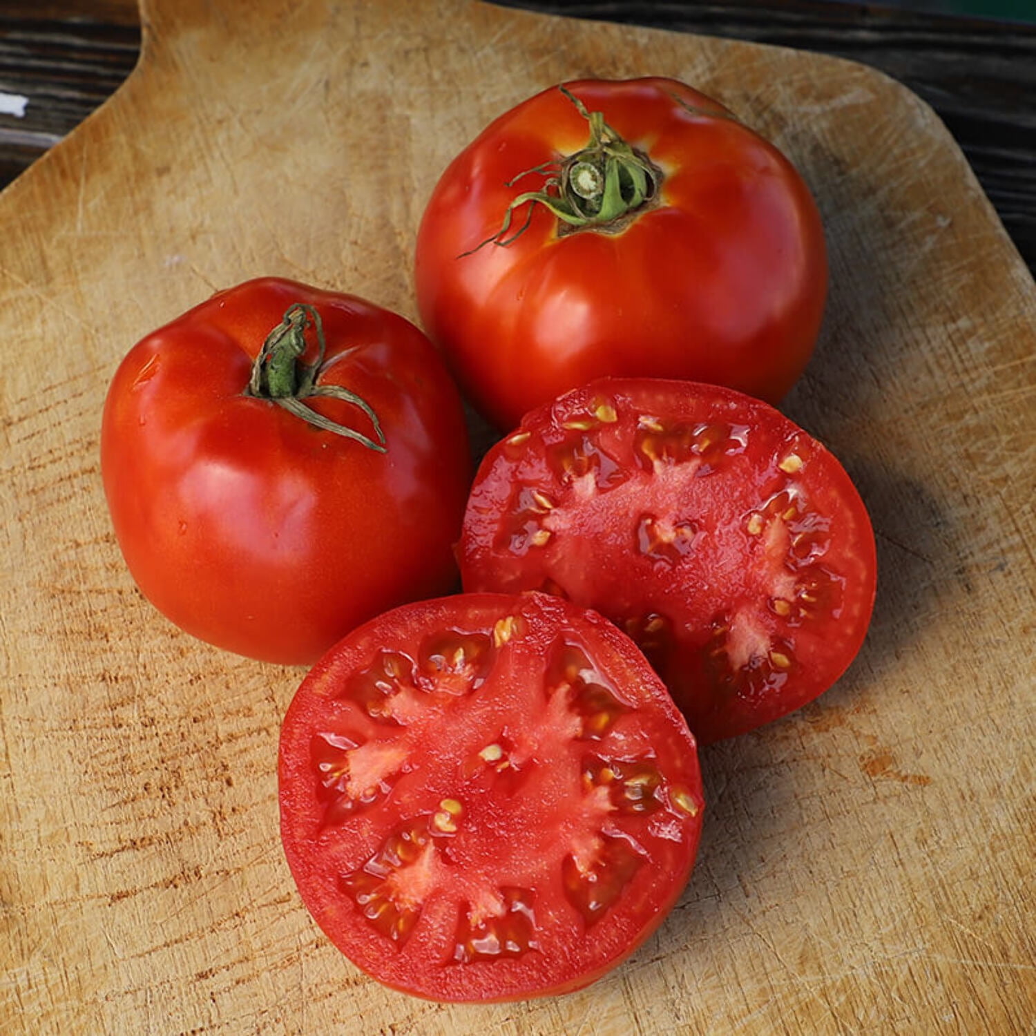 Jet star tomato plants