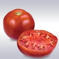 thumbnail image 1 of Harris Seeds - Tomato Moreton Hybrid F1 Seeds - Large Fruits - 1,000 Seeds, 1 of 4