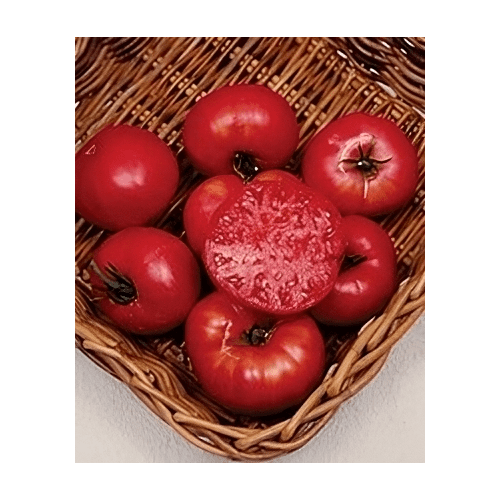 Tomato Mortgage Lifter Great Heirloom Garden Vegetable by Seed Kingdom Bulk 1/4 Lb Seeds
