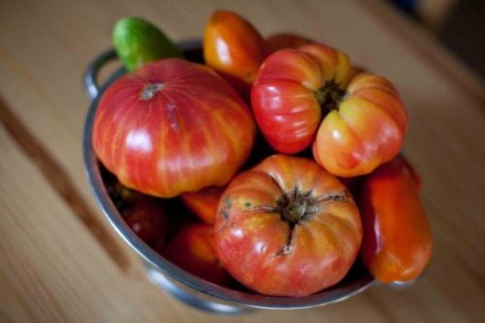 Tomato Mr. Stripey Great Heirloom Garden Vegetable by Seed Kingdom Bulk 1/4 LB Seeds