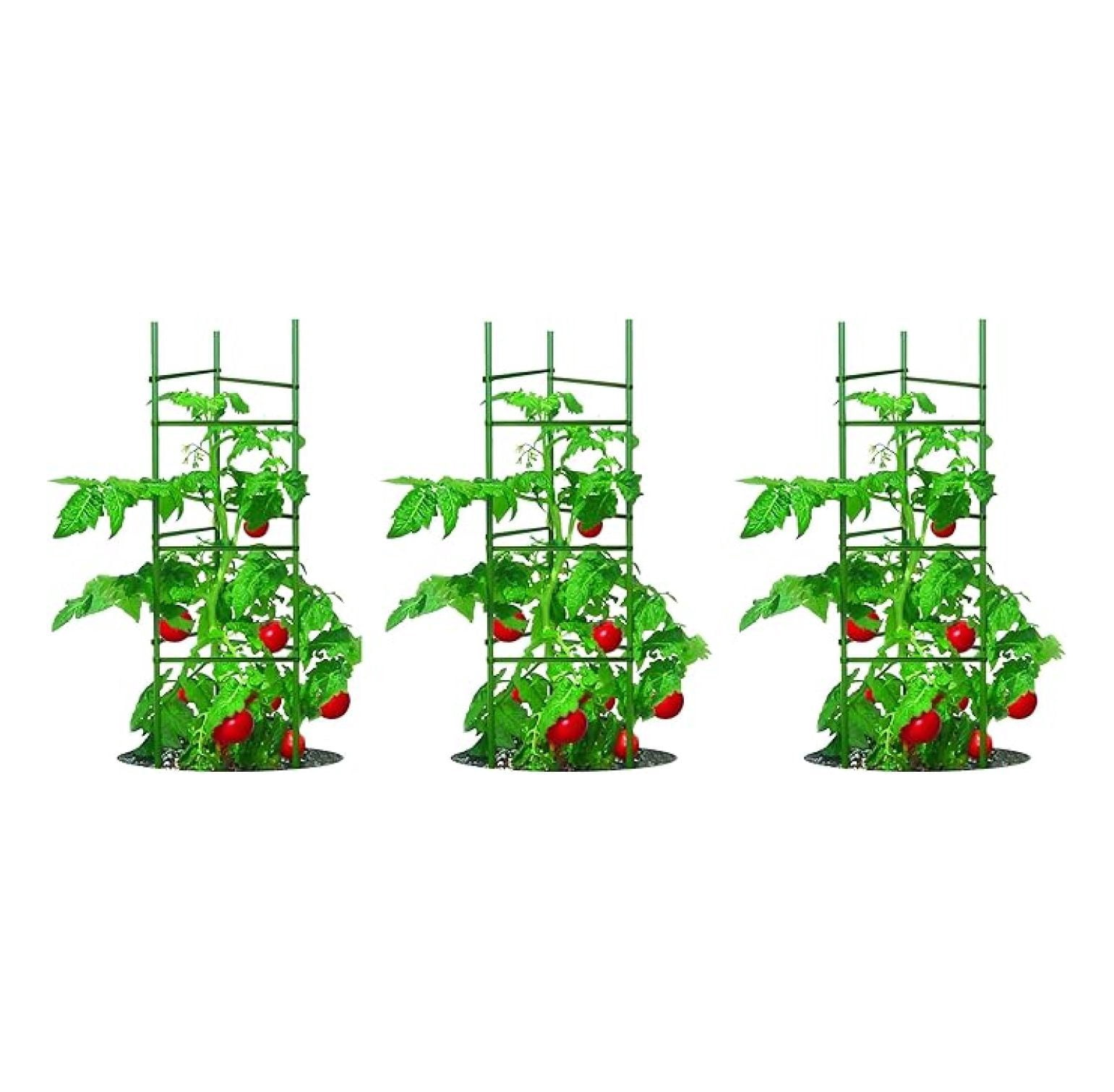 Tomato Plant Cages 3-Pack, 5ft - Ultomato Tomato Cage System, Green Plant Support for Vegetables, Flowers, Climbing Plants - Garden Stakes
