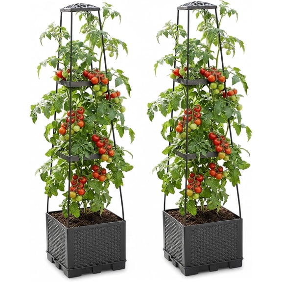 Tomato Planter Box with Trellis, 2-Pack Black Raised Garden Bed for Climbing Plants, Stackable Outdoor Planter Cage(Q)
