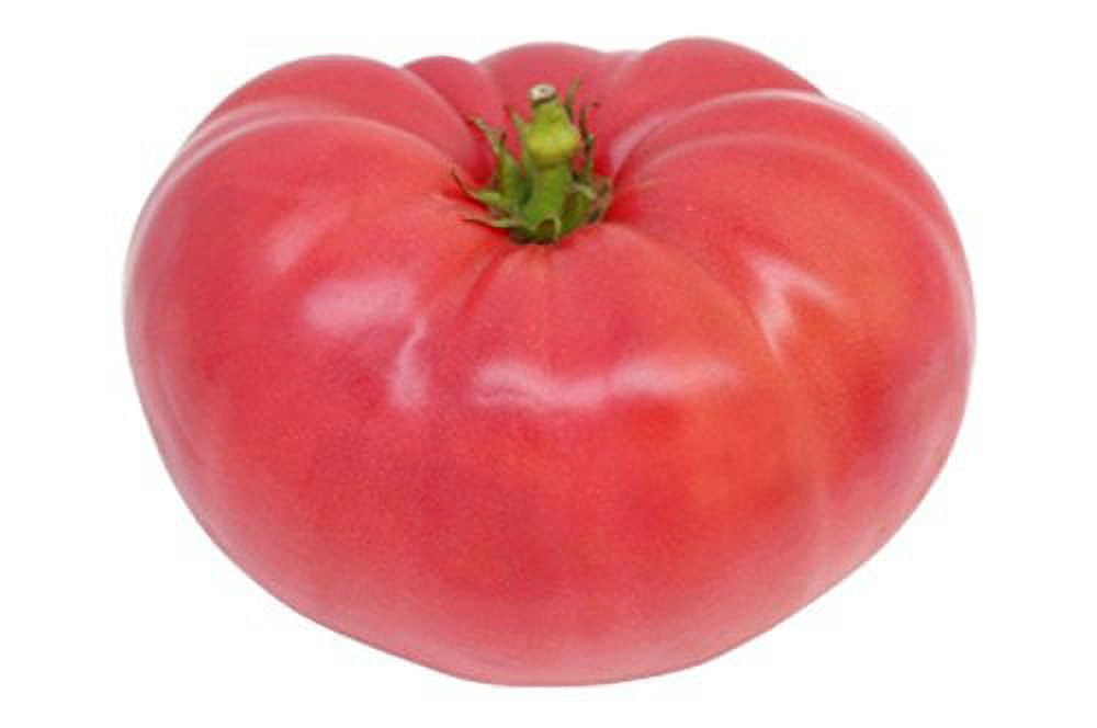 Tomato Ponderosa Pink Great Heirloom Garden Vegetable by Seed Kingdom Bulk 1 OZ Seeds