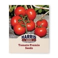 thumbnail image 1 of Harris Seeds Tomato Premio F1, Indeterminate Hybrid, 50 Count, 1 of 7