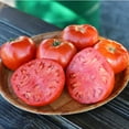 thumbnail image 1 of Tomato Primo Red F1, 1 of 4