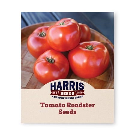 Harris Seeds Tomato Roadster F1, Treated, Extra-Large Red Fruit, 50 Count