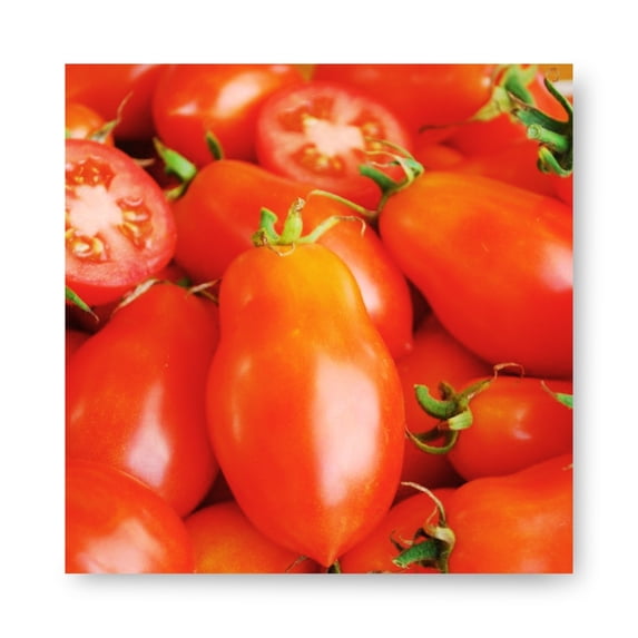 Harris Seeds Tomato Roma VF, Determinate Paste Tomato, 5,000 Count