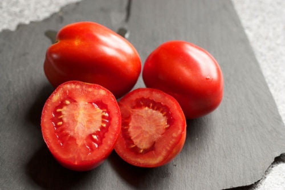 Tomato San Diego - Hybrid Great Garden Vegetable by Seed Kingdom 30 Seeds