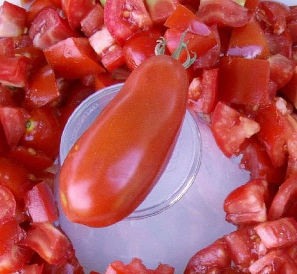 Tomato San Marzano Great Heirloom Garden Vegetable by Seed Kingdom Bulk 1 OZ Seeds