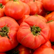 Tomato Seeds - Beefsteak Pink - 250 Mg Packet ~65 Seeds - Solanum lycopersicum - Farm & Garden Vegetable Seeds - Non-GMO, Heirloom, Open Pollinated, Annual