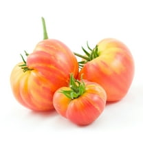 Tomato Seeds - Beefsteak Rainbow - 250 Mg Packet ~65 Seeds - Solanum lycopersicum - Farm & Garden Vegetable Seeds - Non-GMO, Heirloom, Open Pollinated, Annual