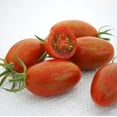thumbnail image 1 of Tomato Seeds - Bronze Torch Untreated Non-GMO Variety Tomato Seeds - Non-GMO - 50 Seeds, 1 of 2