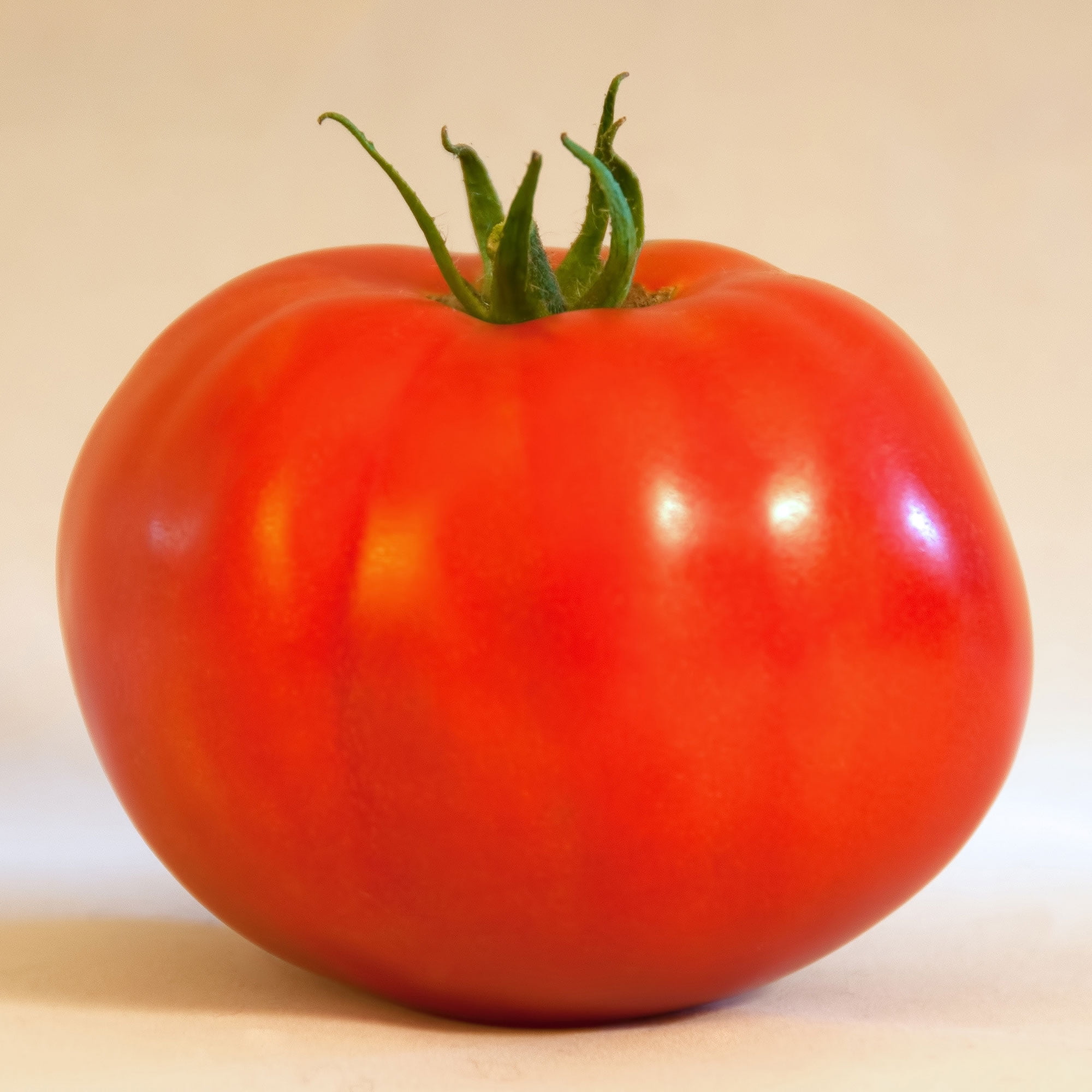 Tomato Seeds - Caribe - 4 Oz ~30,000 Seeds - Solanum lycopersicum - Farm & Garden Vegetable Seeds - Non-GMO, Heirloom, Open Pollinated, Annual