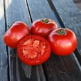 thumbnail image 1 of Tomato Seeds - Celebrity Variety Tomato Seeds - Non-GMO - 50 Seeds, 1 of 3