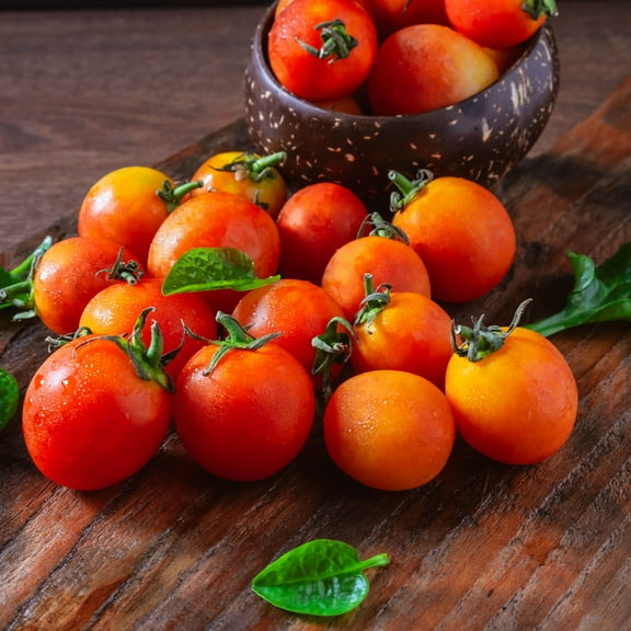 Tomato Seeds - Cherry Bi Color - 250 Mg Packet ~65 Seeds - Solanum lycopersicum - Farm & Garden Vegetable Seeds - Non-GMO, Heirloom, Open Pollinated, Annual