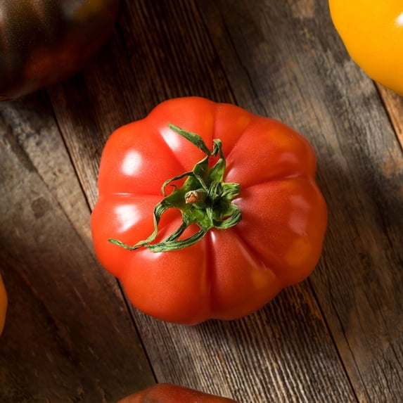 Tomato Seeds - Floradel - 0.25 Oz ~1,875 Seeds - Solanum lycopersicum - Farm & Garden Vegetable Seeds - Non-GMO, Heirloom, Open Pollinated, Annual