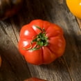 thumbnail image 1 of Tomato Seeds - Floradel - 1 Oz ~7,500 Seeds - Solanum lycopersicum - Farm & Garden Vegetable Seeds - Non-GMO, Heirloom, Open Pollinated, Annual, 1 of 7