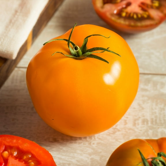 Tomato Seeds - Jubilee - 1 g Packet ~275 Seeds - Solanum lycopersicum - Farm & Garden Vegetable Seeds - Non-GMO, Heirloom, Open Pollinated, Annual