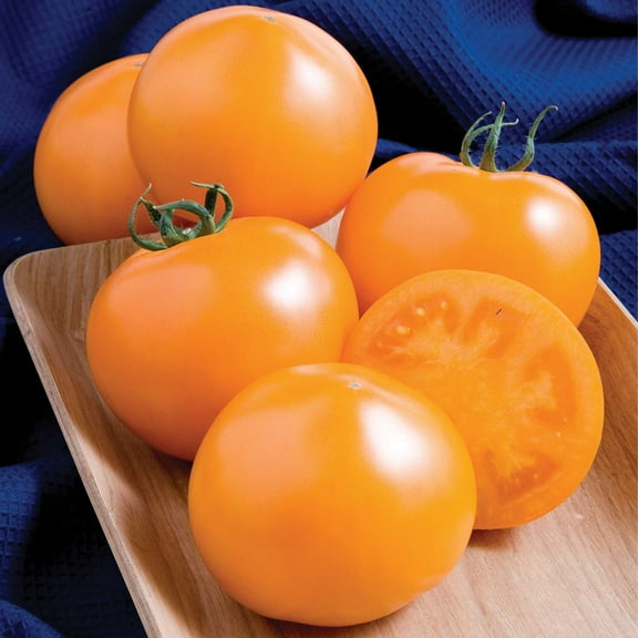 Tomato Seeds - Momotaro Gold - Hybrid - 10 Seeds ~10 Seeds - Non-GMO, F1 Hybrid - Asian Garden Vegetable