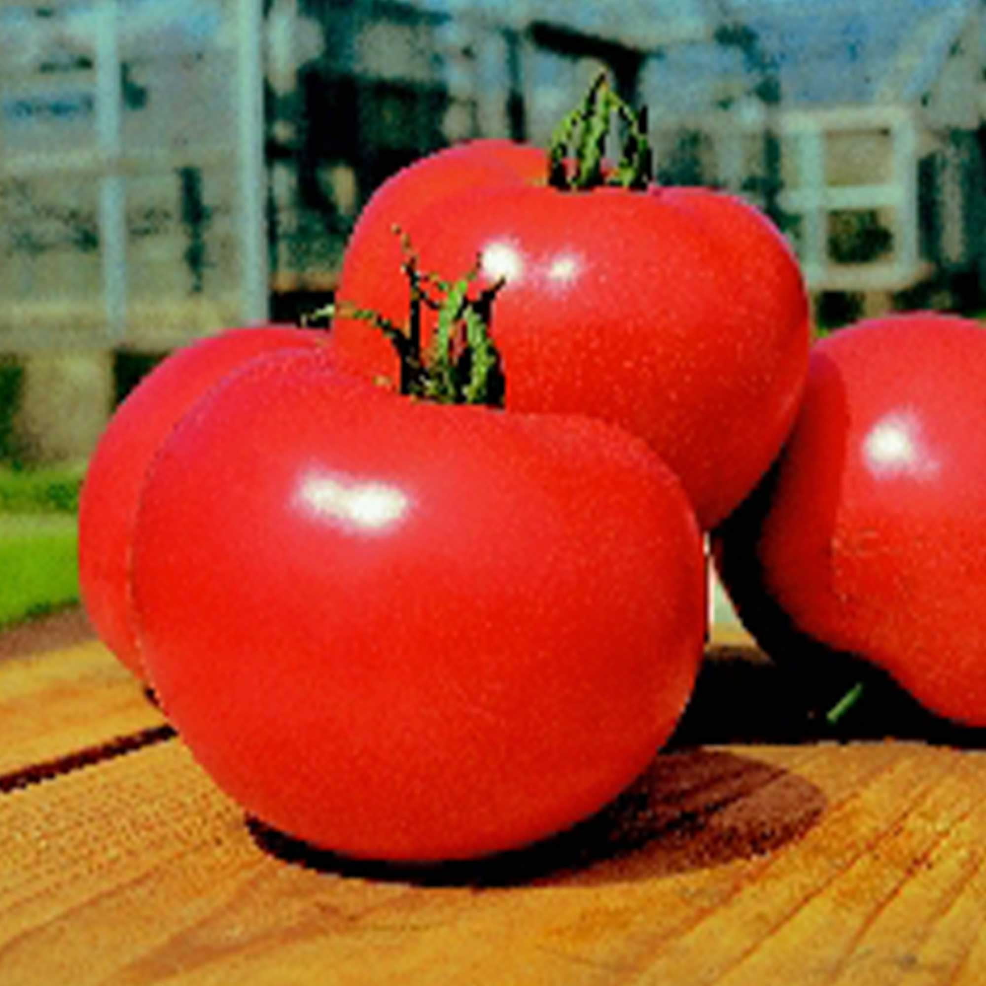 Tomato Seeds - Momotaro - Hybrid - 1000 Seeds ~1000 Seeds - Non-GMO, F1 Hybrid - Asian Garden Vegetable