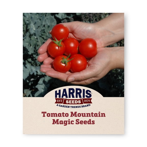 Harris Seeds Tomato Mountain Magic Variety, Non-GMO, 10 Count