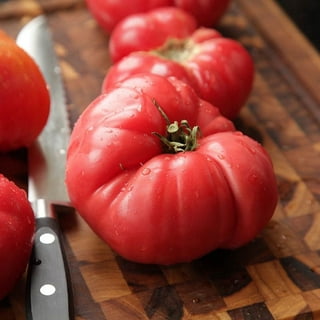  Pink Brandywine Beefsteak Tomato Seeds for Planting