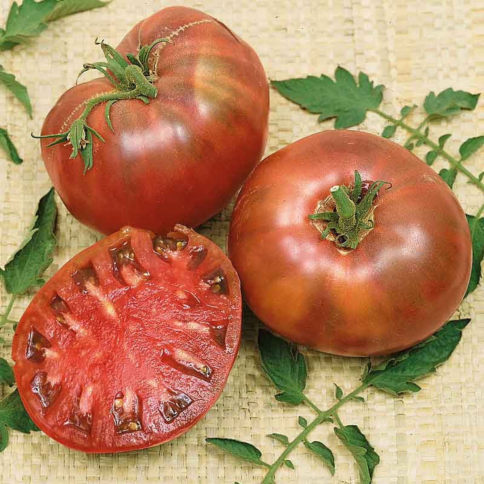 Tomato Seeds (Organic) - Cherokee Purple - Packet -  Vegetable Seeds,  Heirloom Seed, Open Pollinated Seed, Organic Seed  Easy to Grow & Maintain, Fast Growing, Culinary
