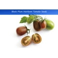 thumbnail image 1 of Tomato Seeds-Organic Heirloom 20 Vegetable Seeds - Rare Black Plum Tomato -  Fresh- Freezing - Flavorful - Great Addition to Salads, 1 of 5