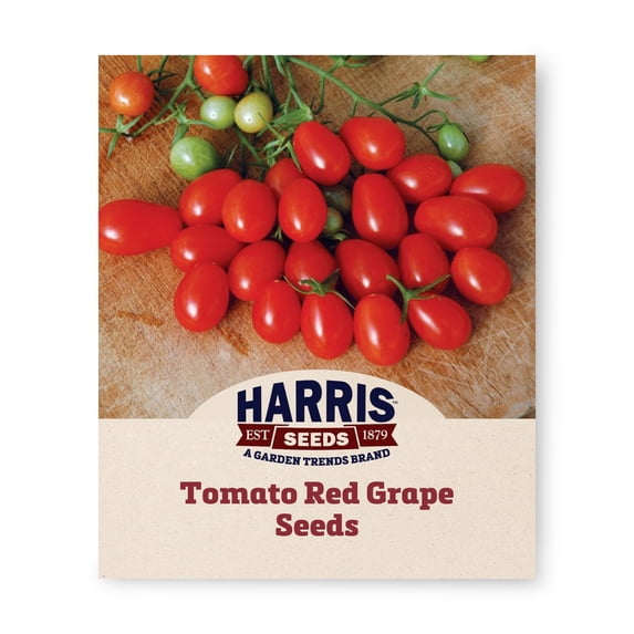 Harris Seeds Tomato Red Grape Variety, Non-GMO, 50 Count