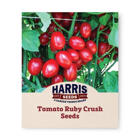Ruby Tomatoes Harris Seeds Ruby Crush F1 Tomato, Deep Red Determinate Slicing ...