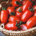 thumbnail image 1 of Tomato Seeds - San Marzano (Indeterminate) - 250 Mg Packet ~65 Seeds - Solanum lycopersicum - Farm & Garden Vegetable Seeds - Non-GMO, Heirloom, Open Pollinated, Annual, 1 of 7