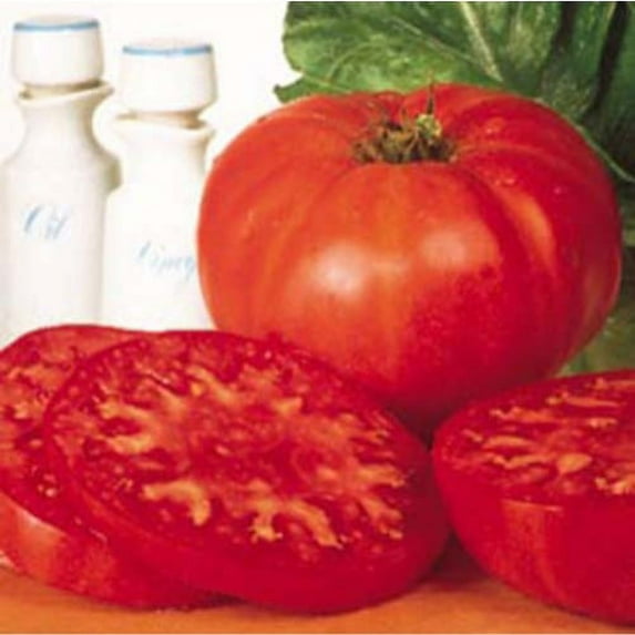 Tomato Supersteak - Hybrid Great Garden Vegetable 10 Seeds