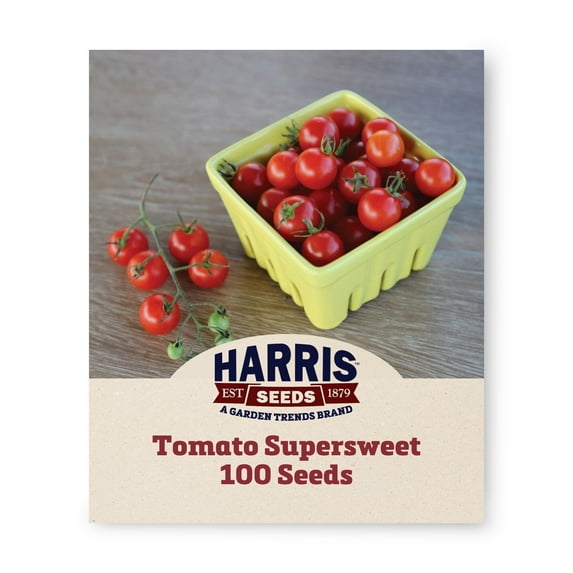 Harris Seeds Tomato Supersweet 100 F1, High-Yield Cherry Tomato Variety, 500 Count