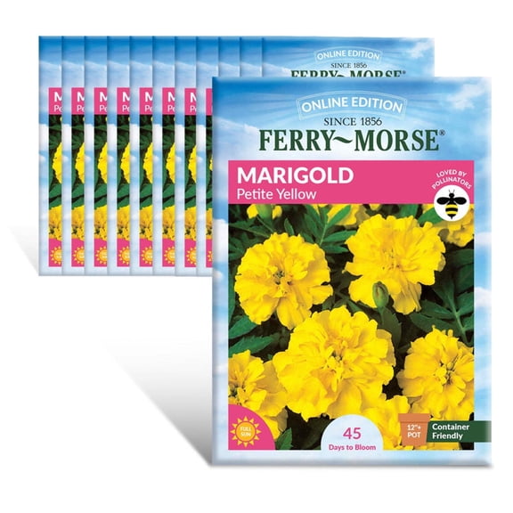 Ferry-Morse Online Edition Marigold Petite Yellow Seeds - 12 Pack