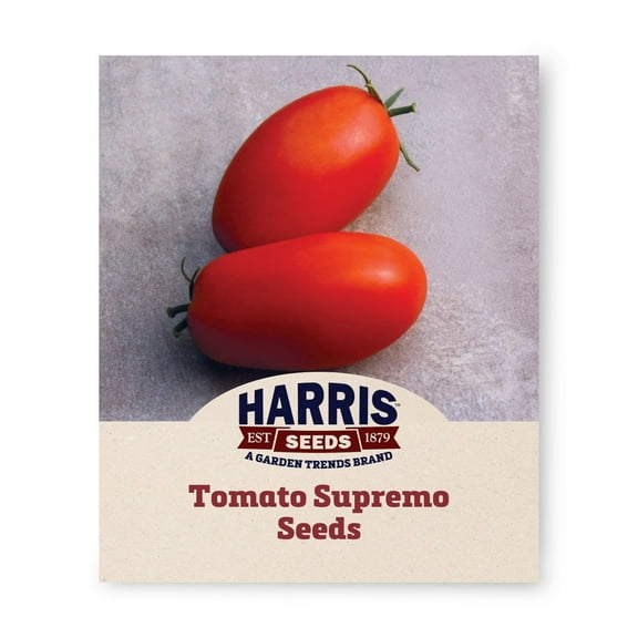 Harris Seeds - Treated Tomato Supremo F1 Seeds - Extra-Large Fruits - 100 Seeds