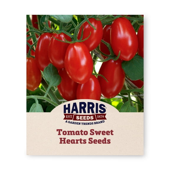 Harris Seeds Sweet Hearts F1 Grape Tomato, Red Indeterminate Tomatoes with Continuous Fruit Clusters, 100 Count