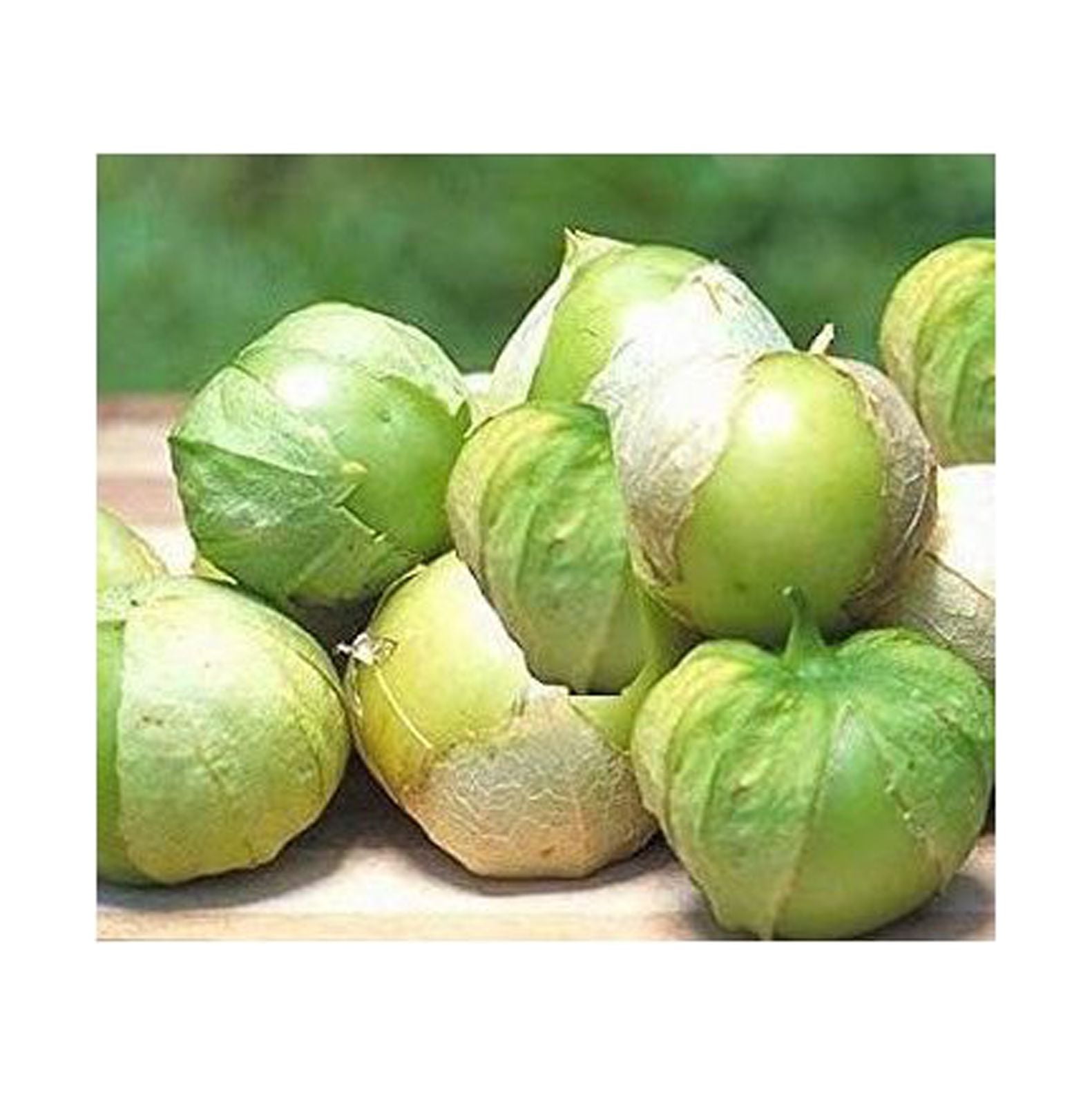 Tomato Tomatillo Toma Verde Great Heirloom Garden Vegetable by BULYAXIA