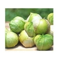 Tomato Tomatillo Toma Verde Great Heirloom Garden Vegetable by BULYAXIA