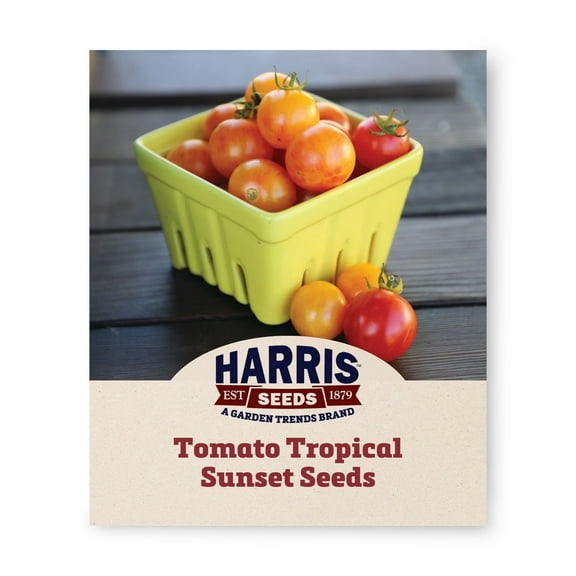Harris Seeds - Tomato Tropical Sunset Organic Seeds - Sweet Flavor - 50 Seeds