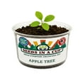 thumbnail image 1 of Tomato | Vegetable Seed | Plant Starter Grow Kit| Seeds In A Cup®, 1 of 10