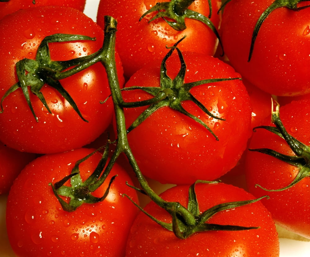 Tomatoes Canvas Art - David Chapman Design Pics (32 x 26)