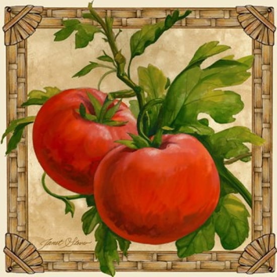 Tomatoes Canvas Art - Janet Stever (20 x 20)