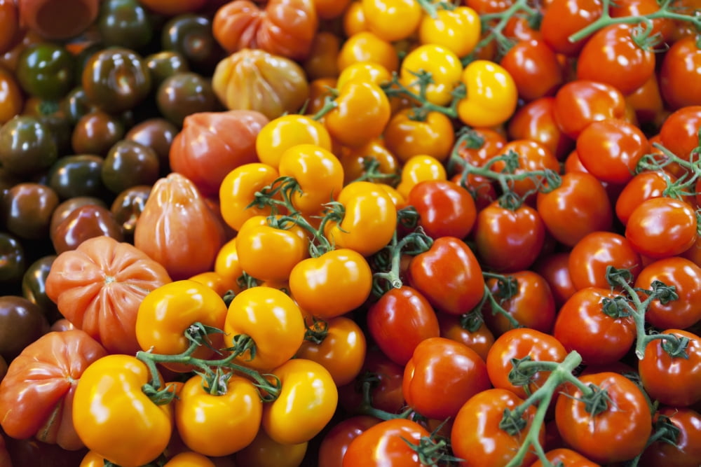 Tomatoes For Sale At Borough Market London England Canvas Art - Kav Dadfar Design Pics (19 x 12)